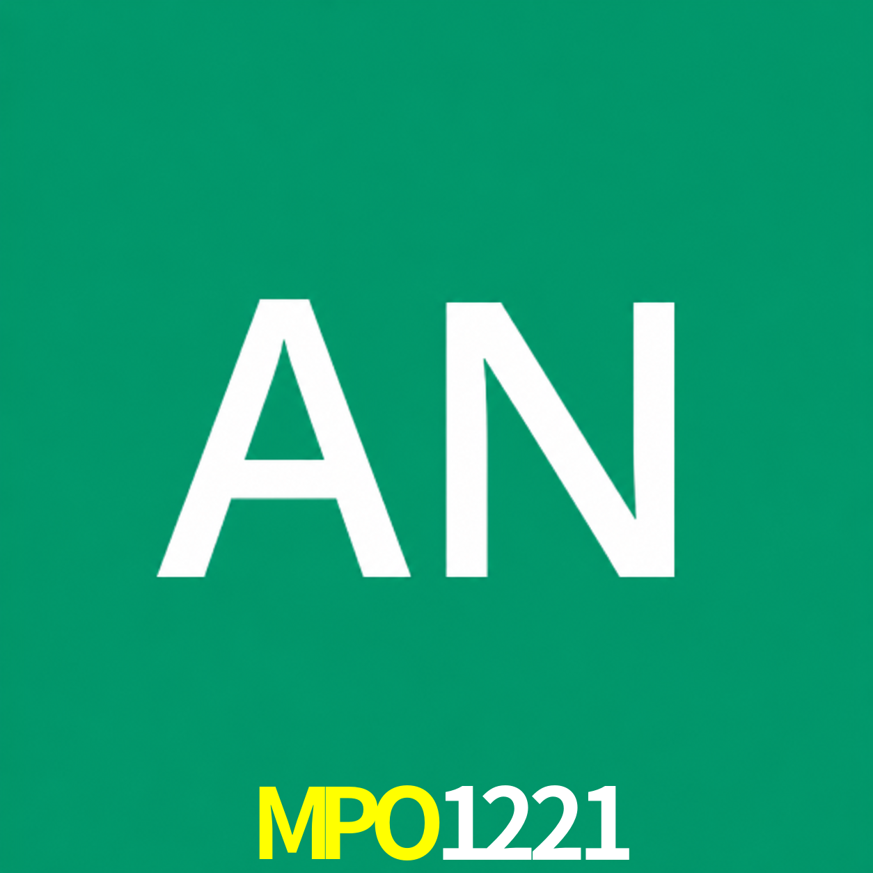 Adi Nugroho - Founder & CEO MPO1221 Indonesia